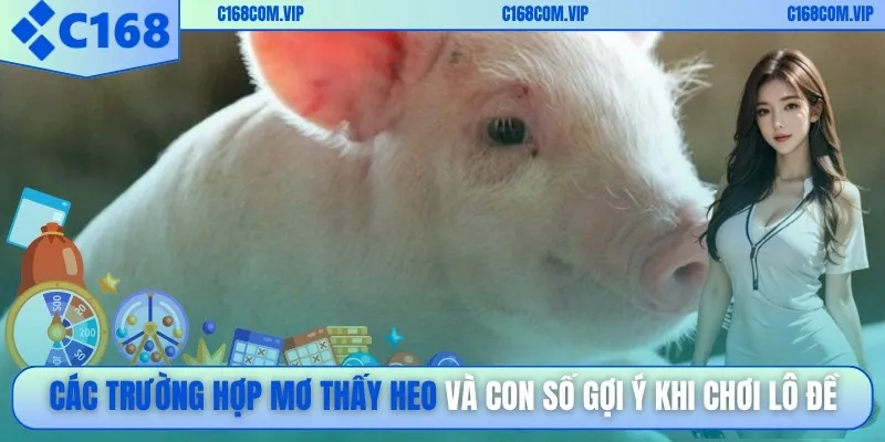 Các trường hợp mơ thấy heo và con số gợi ý khi chơi lô đề