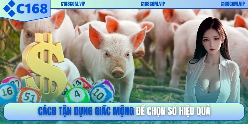 Cách tận dụng giấc mộng để chọn số hiệu quả