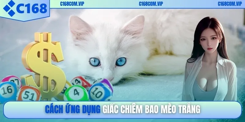 Cách ứng dụng giấc chiêm bao mèo trắng