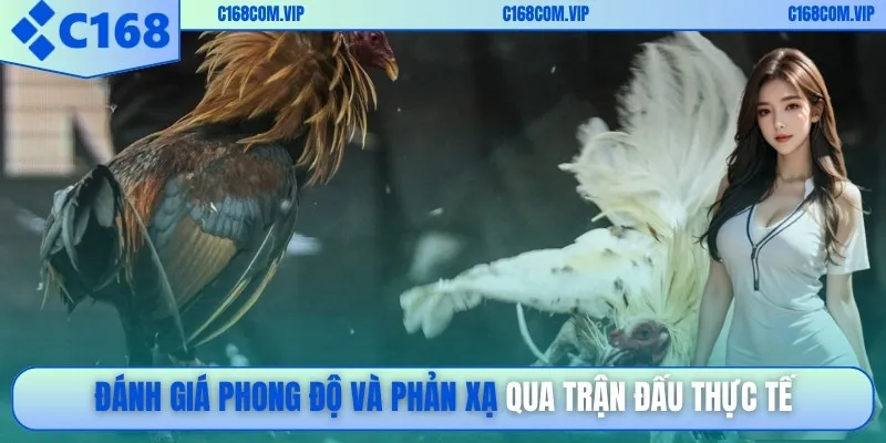 Đánh giá phong độ và phản xạ qua trận đấu thực tế