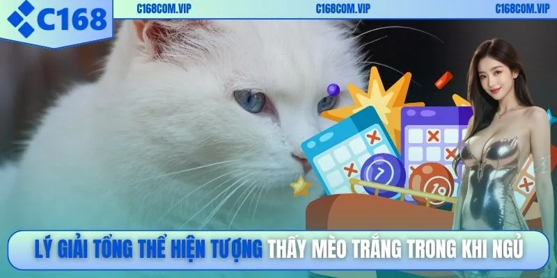 Lý giải tổng thể hiện tượng thấy mèo trắng trong khi ngủ