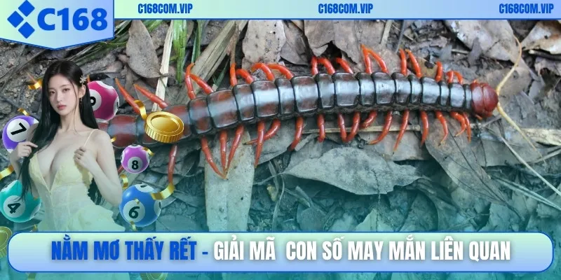 Nằm mơ thấy rết