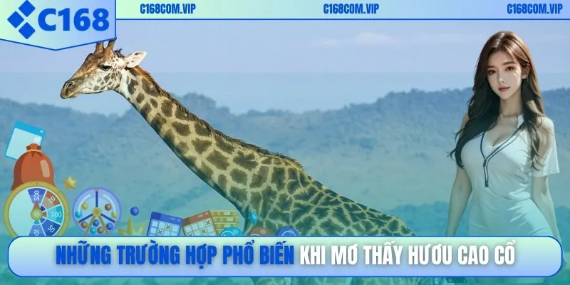 Những trường hợp phổ biến khi mơ thấy hươu cao cổ