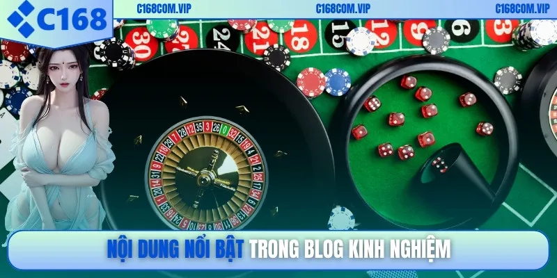 Nội dung nổi bật trong blog kinh nghiệm