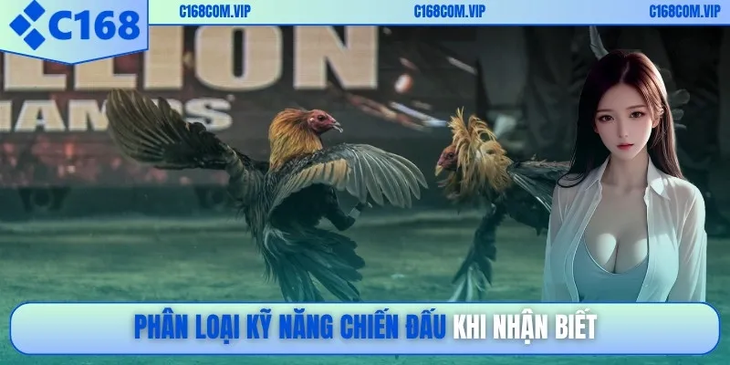 Phân loại kỹ năng chiến đấu khi nhận biết